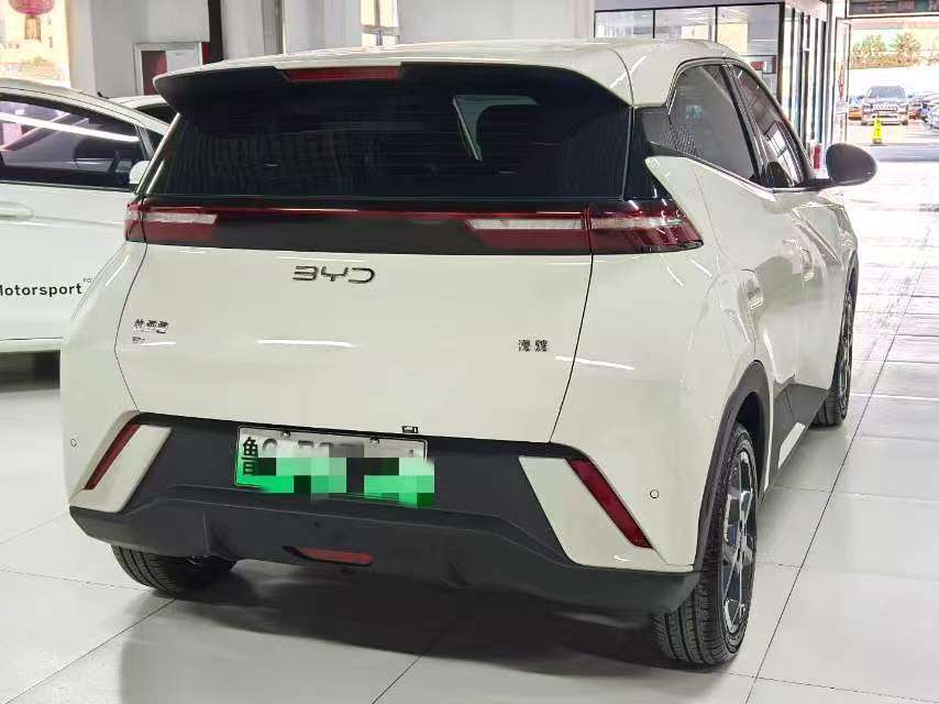 Chengdu Lushengda Automobile Service Co., Ltd.