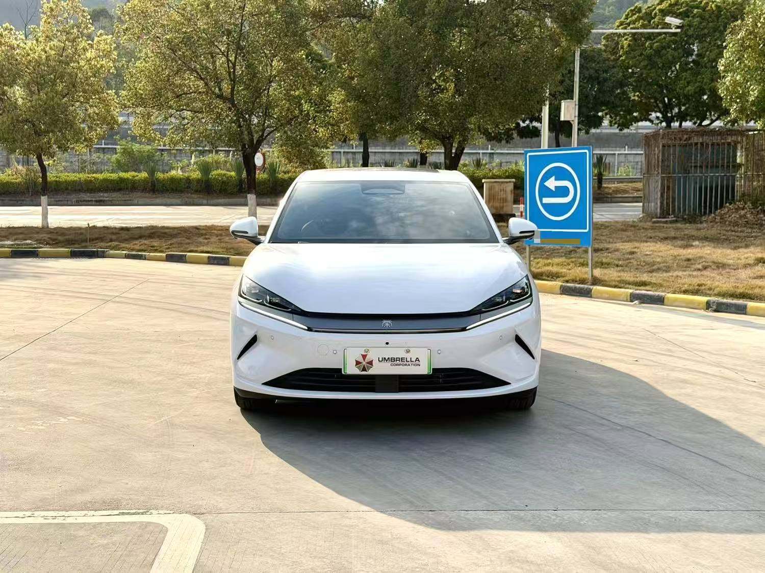 Chengdu Lushengda Automobile Service Co., Ltd.