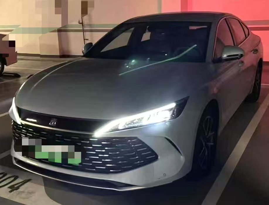 Chengdu Lushengda Automobile Service Co., Ltd.