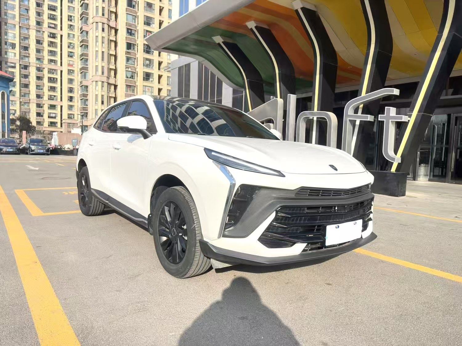 Chengdu Lushengda Automobile Service Co., Ltd.