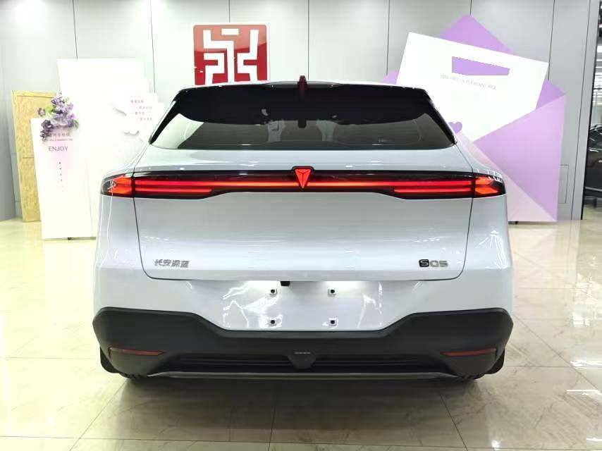 Chengdu Lushengda Automobile Service Co., Ltd.