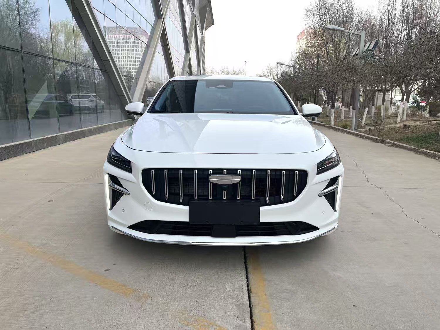 Chengdu Lushengda Automobile Service Co., Ltd.