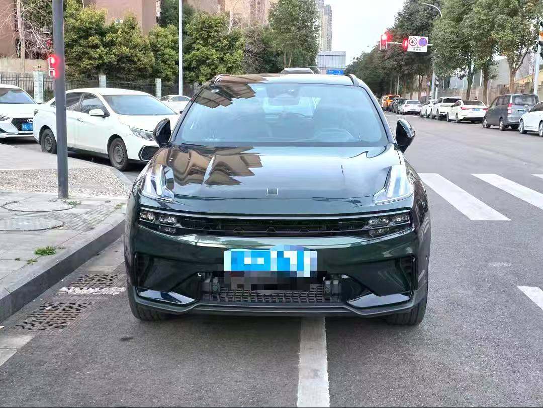 Chengdu Lushengda Automobile Service Co., Ltd.