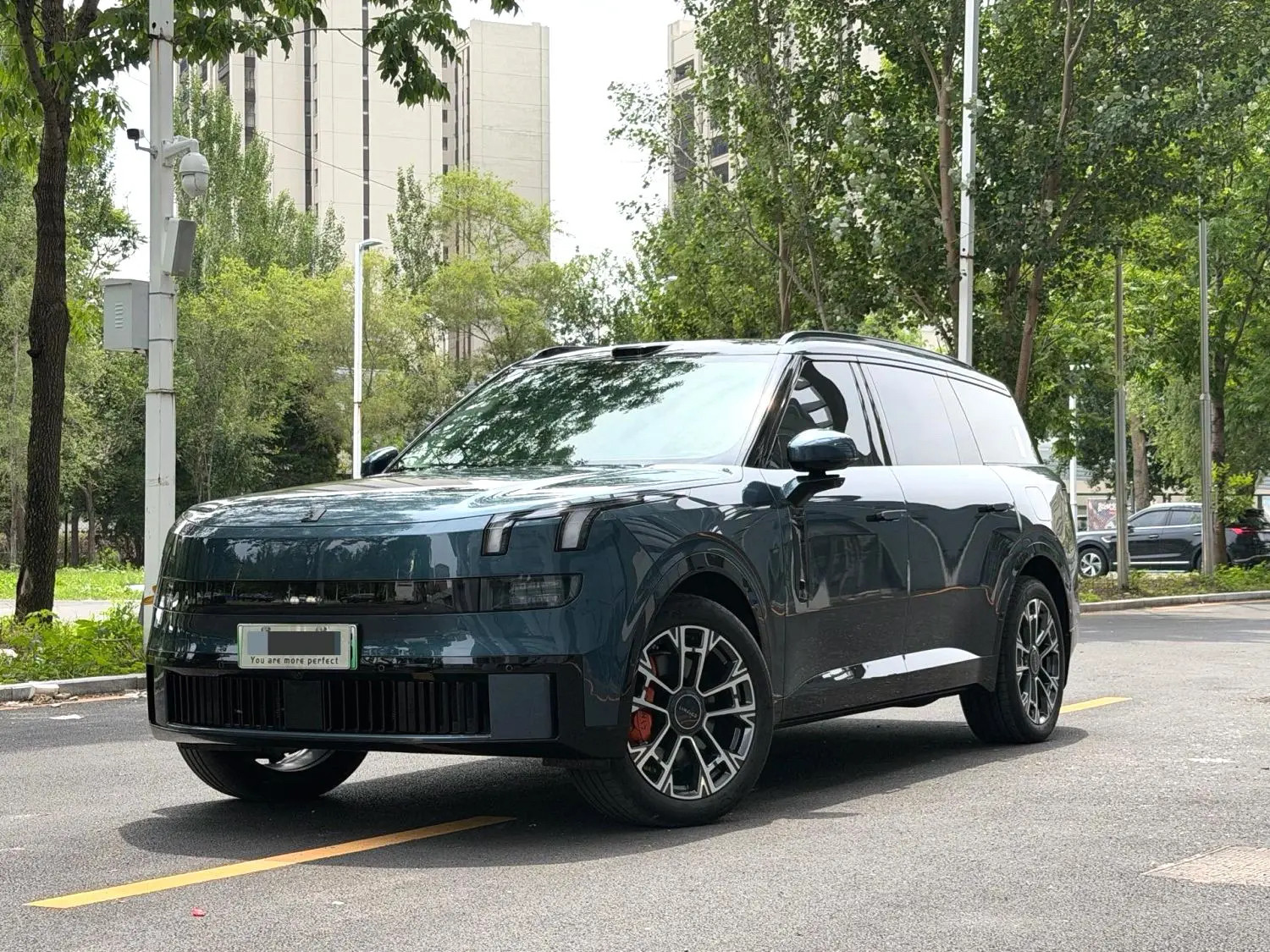 Chengdu Lushengda Automobile Service Co., Ltd.