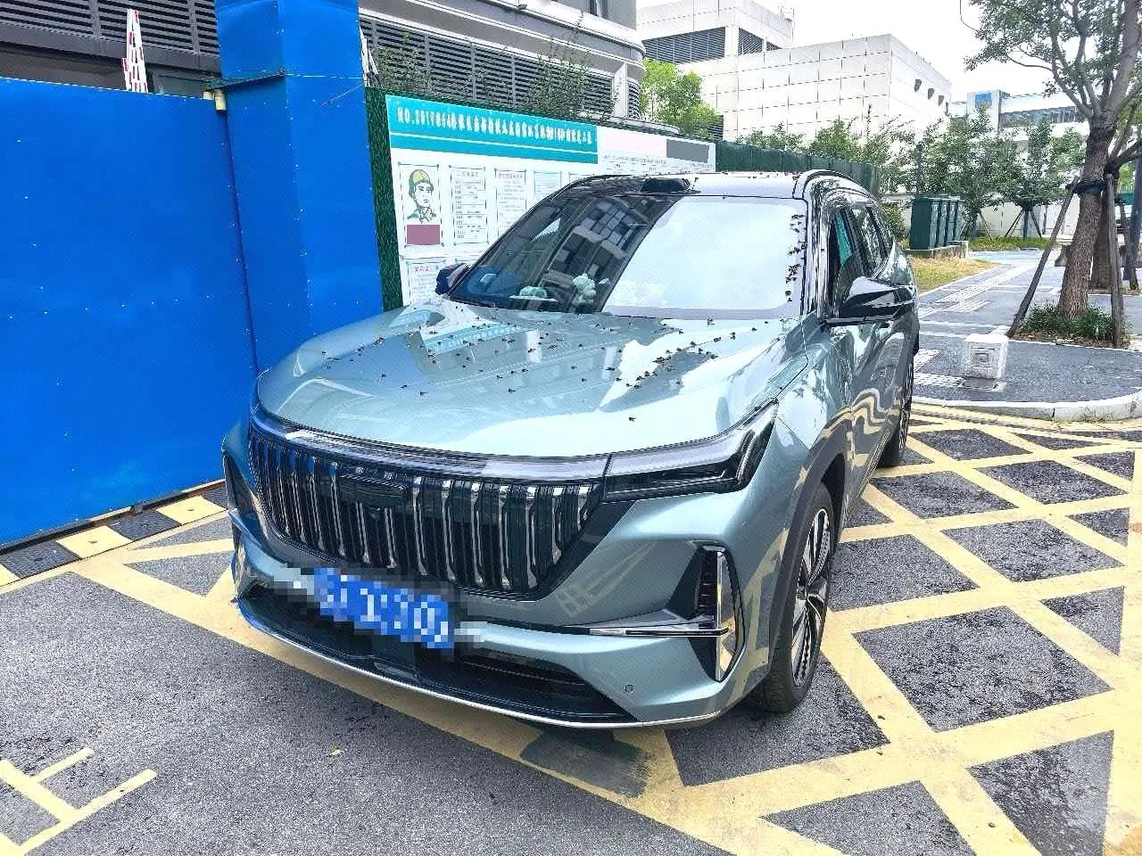 Chengdu Lushengda Automobile Service Co., Ltd.
