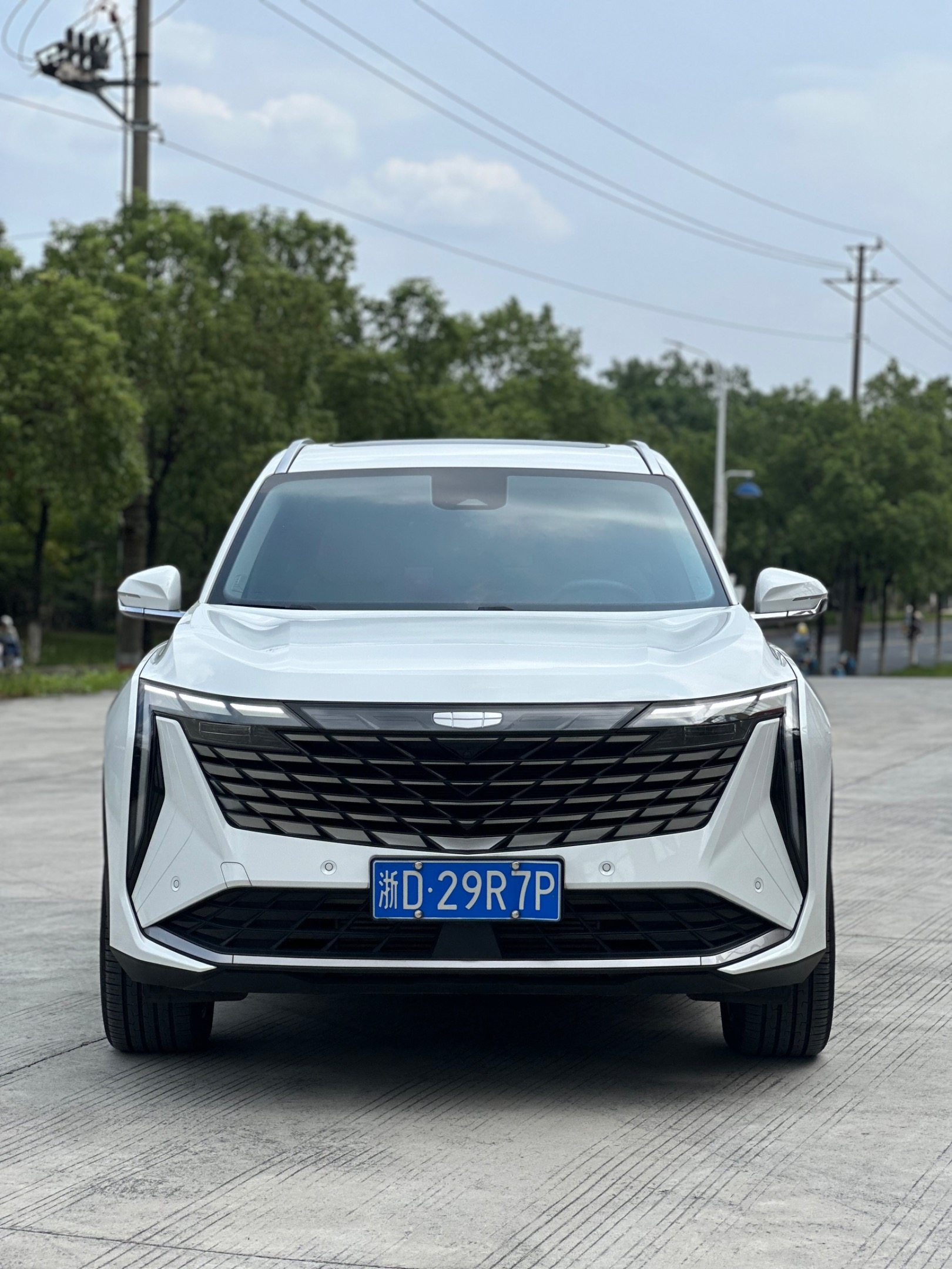 Chengdu Lushengda Automobile Service Co., Ltd.
