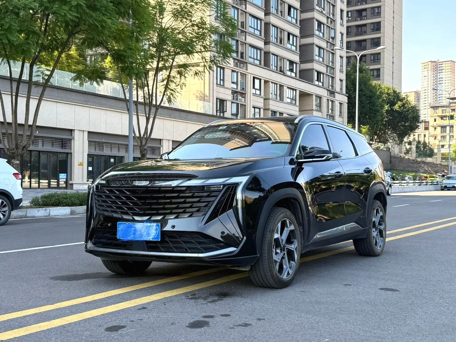 Chengdu Lushengda Automobile Service Co., Ltd.