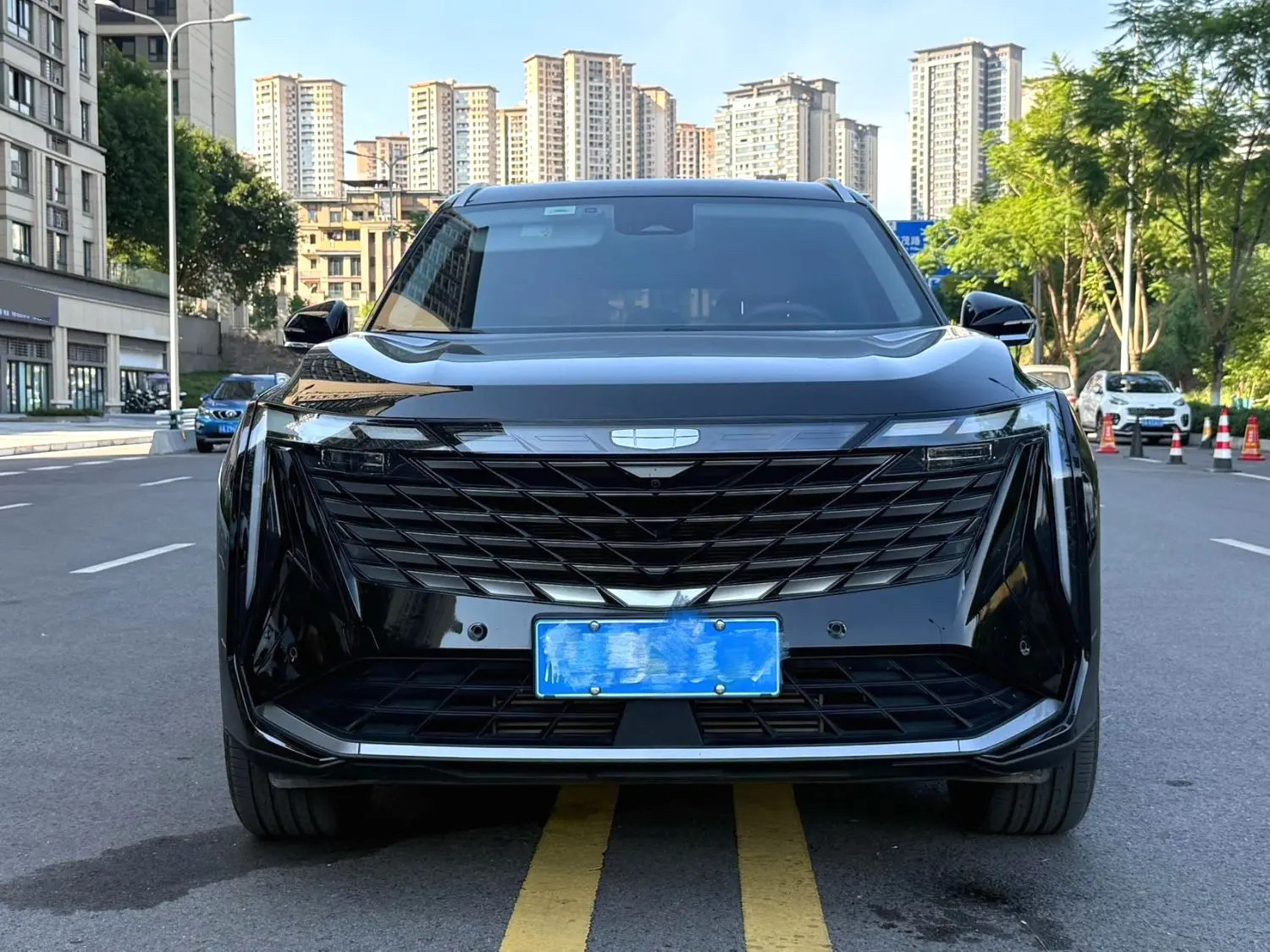 Chengdu Lushengda Automobile Service Co., Ltd.