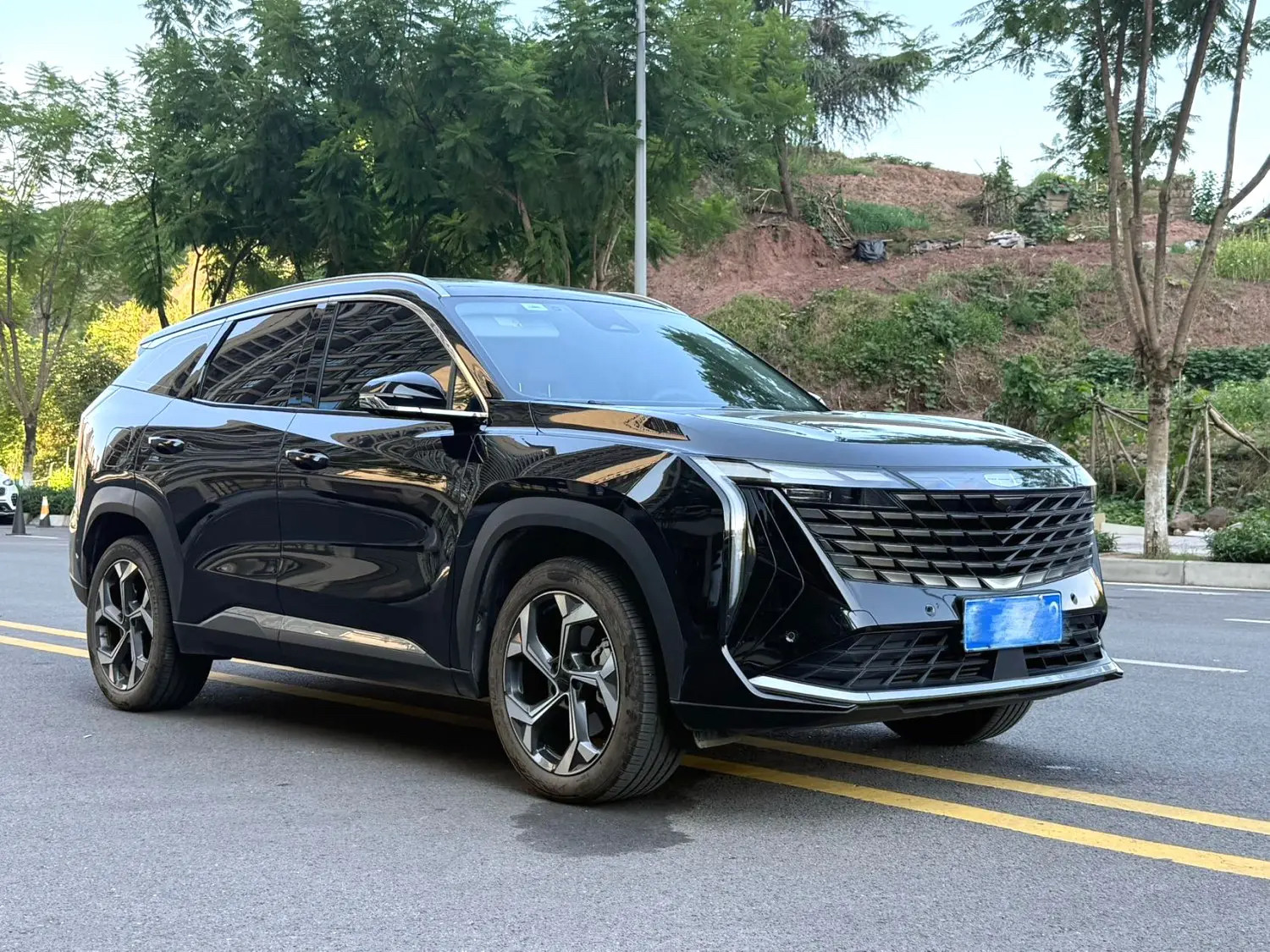 Chengdu Lushengda Automobile Service Co., Ltd.