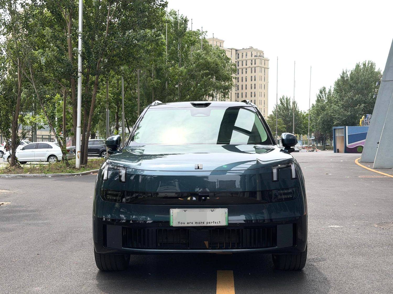 Chengdu Lushengda Automobile Service Co., Ltd.
