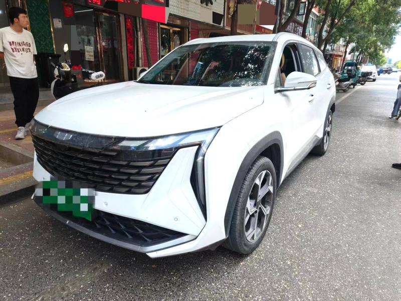 Chengdu Lushengda Automobile Service Co., Ltd.
