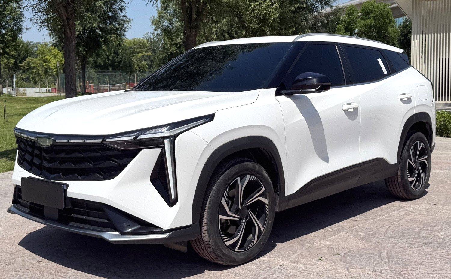 Chengdu Lushengda Automobile Service Co., Ltd.