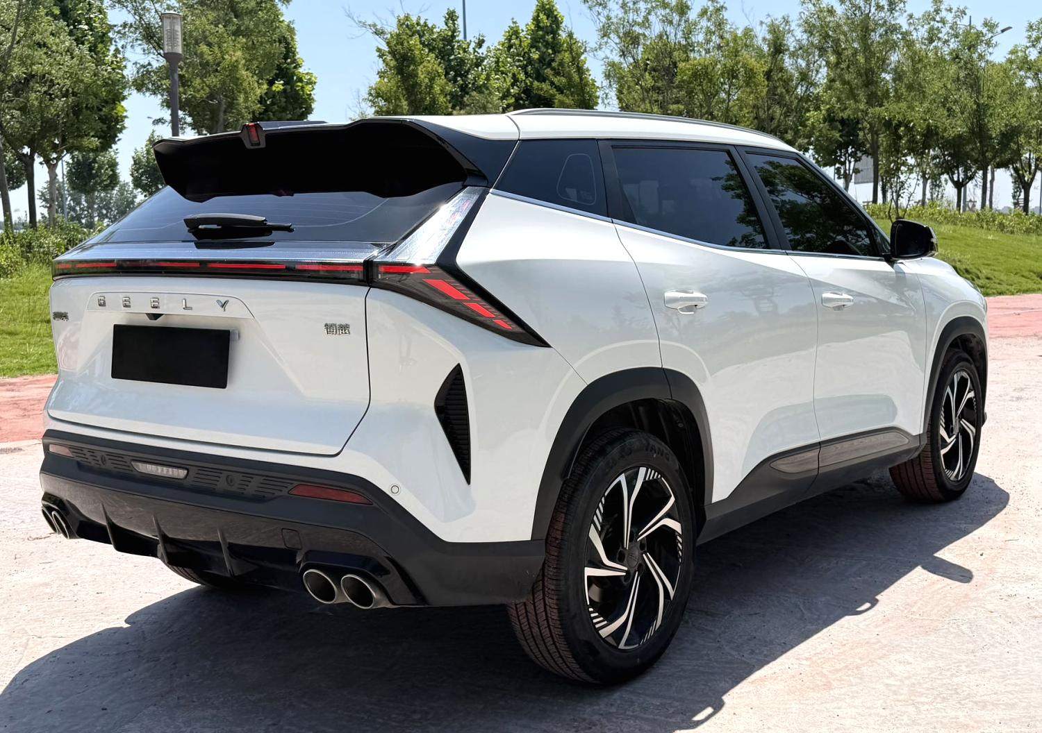 Chengdu Lushengda Automobile Service Co., Ltd.