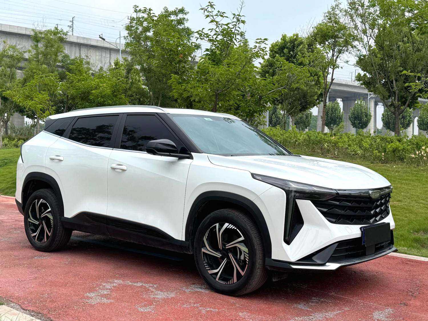 Chengdu Lushengda Automobile Service Co., Ltd.