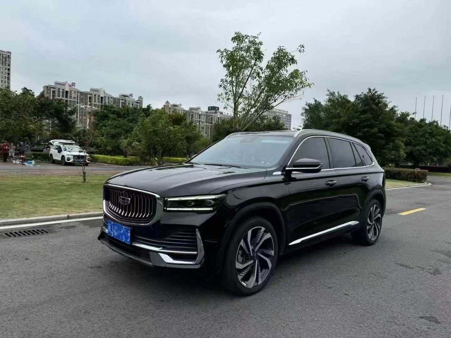 Chengdu Lushengda Automobile Service Co., Ltd.