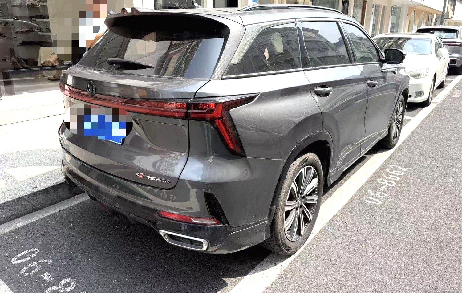 Chengdu Lushengda Automobile Service Co., Ltd.