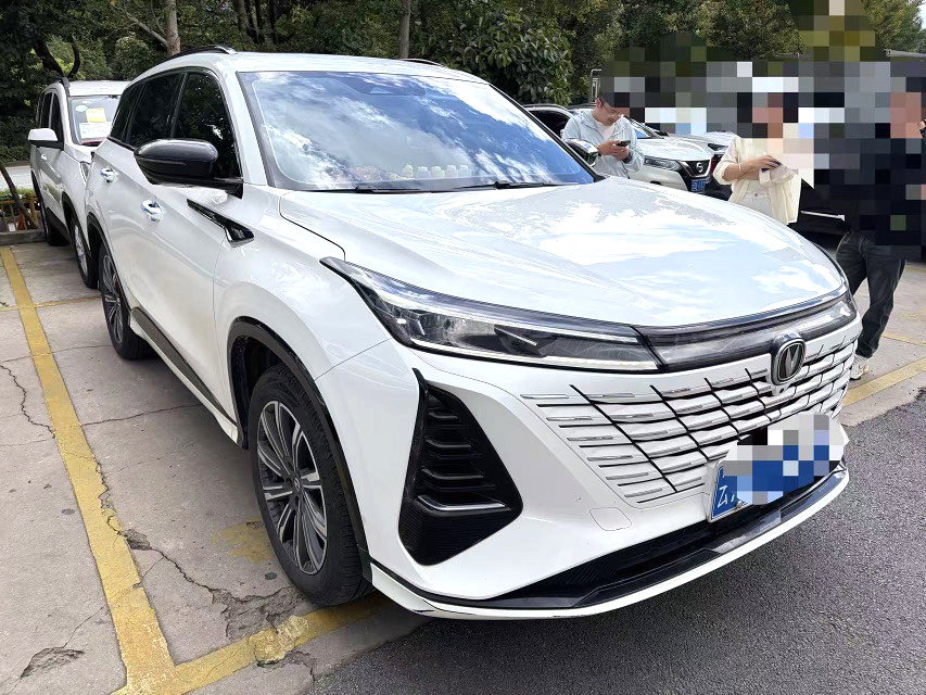 Chengdu Lushengda Automobile Service Co., Ltd.
