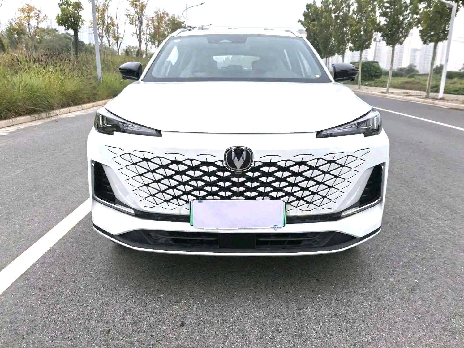 Chengdu Lushengda Automobile Service Co., Ltd.