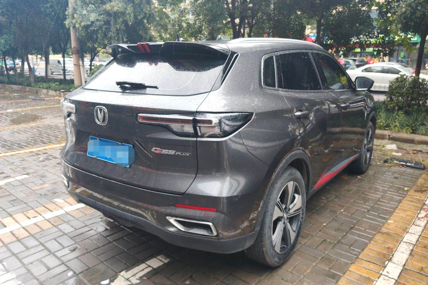 Chengdu Lushengda Automobile Service Co., Ltd.