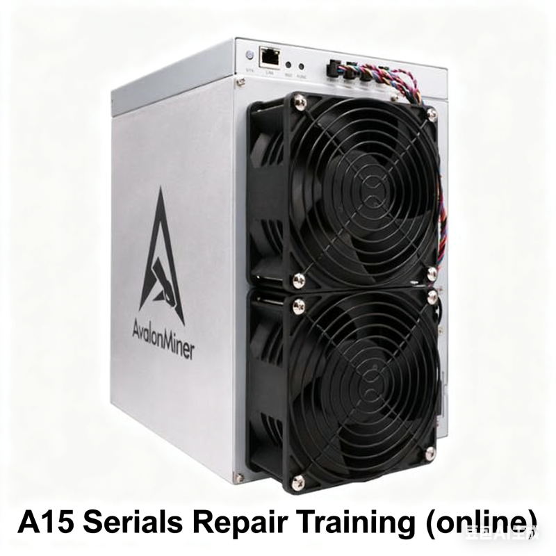 Avalon A15 Serials Repair Training（online）