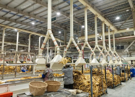 Threshing and Redrying Production Line