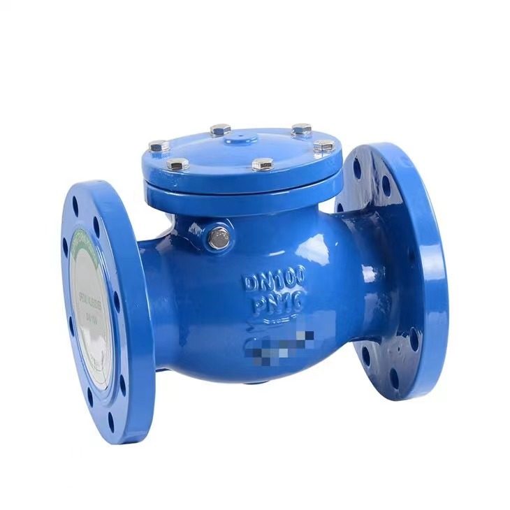 Flange End Swing Check Valve For Fire Safety