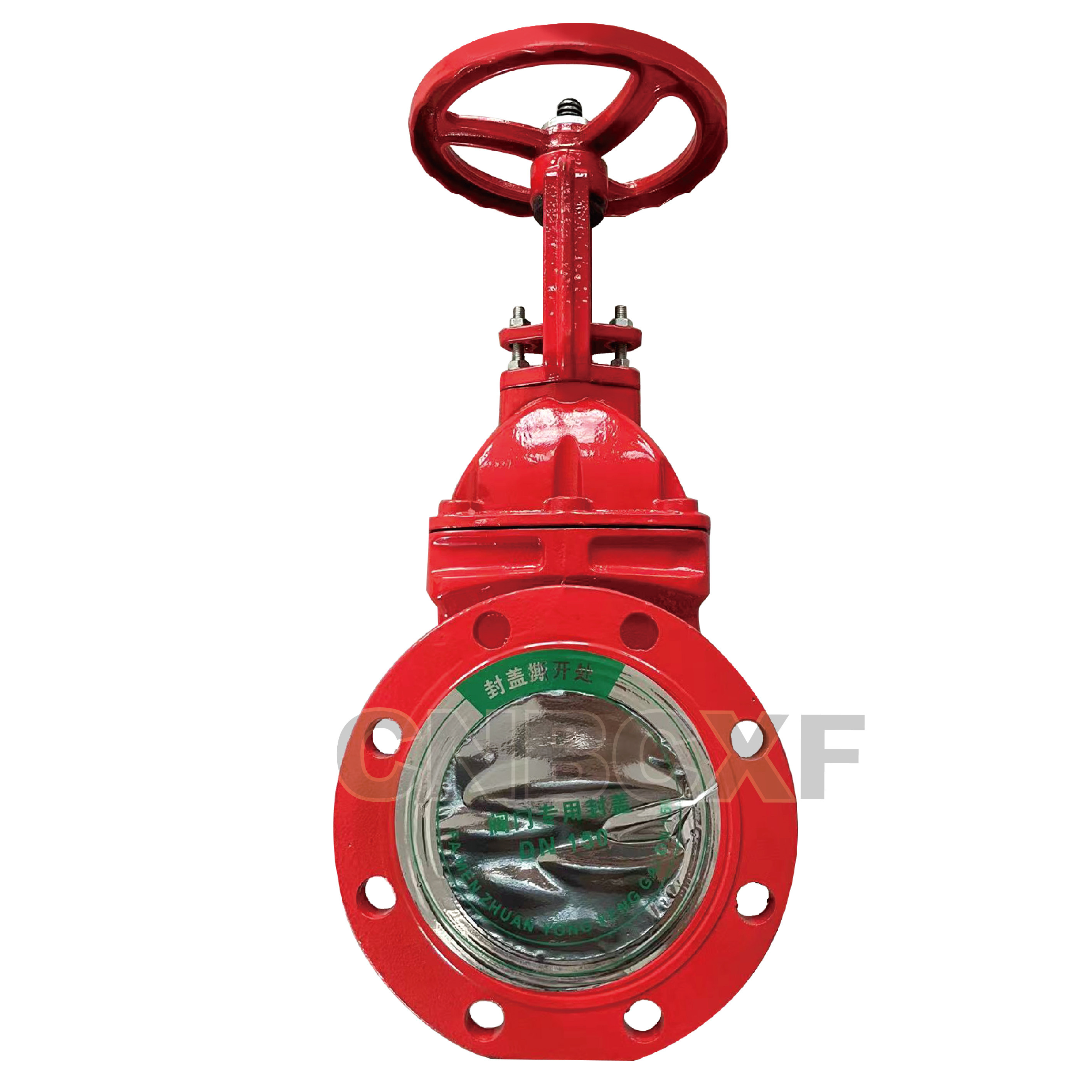 1.6Mpa Flange End Rising Stem Gate Valve