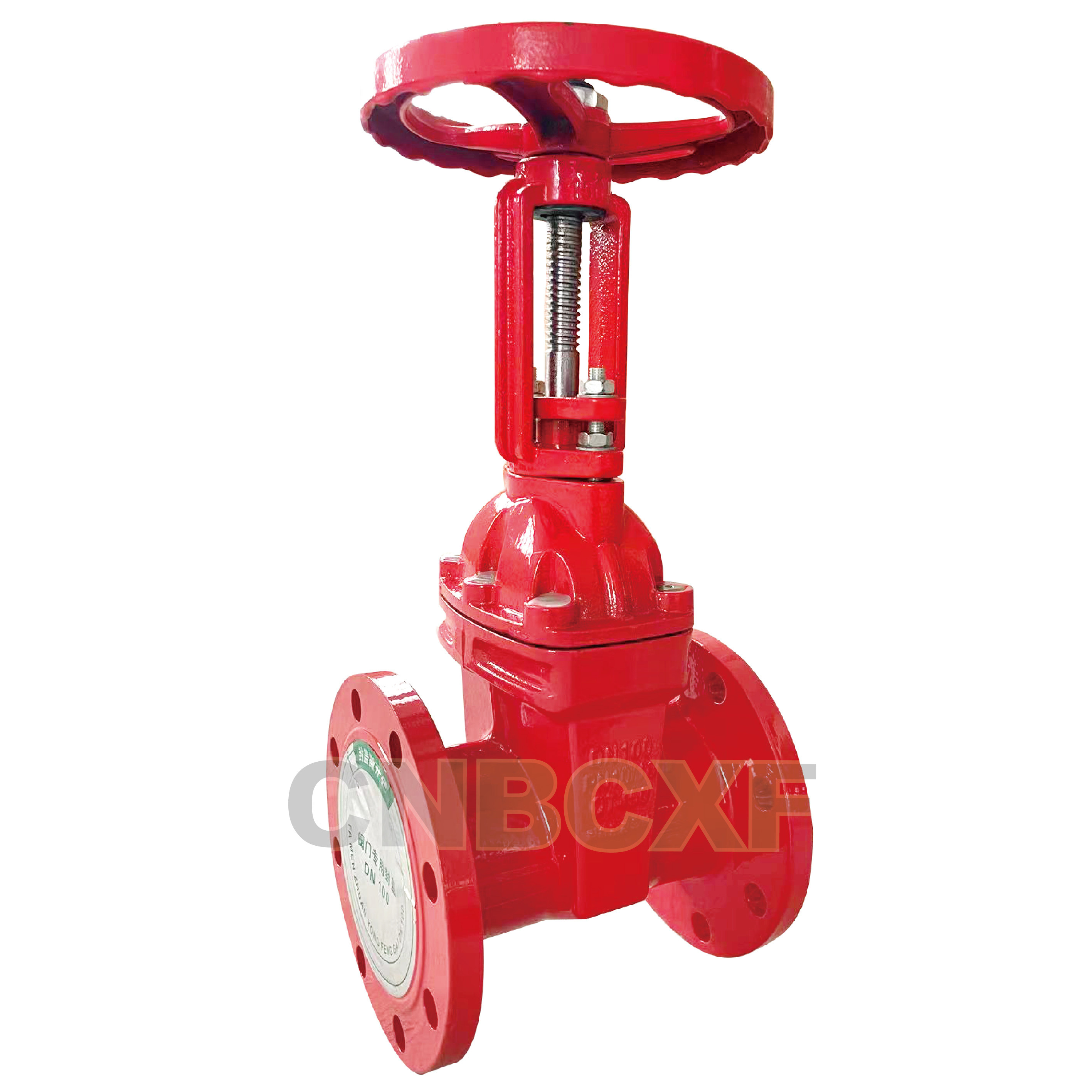 Rising Stem Flanged Type Gate Valve