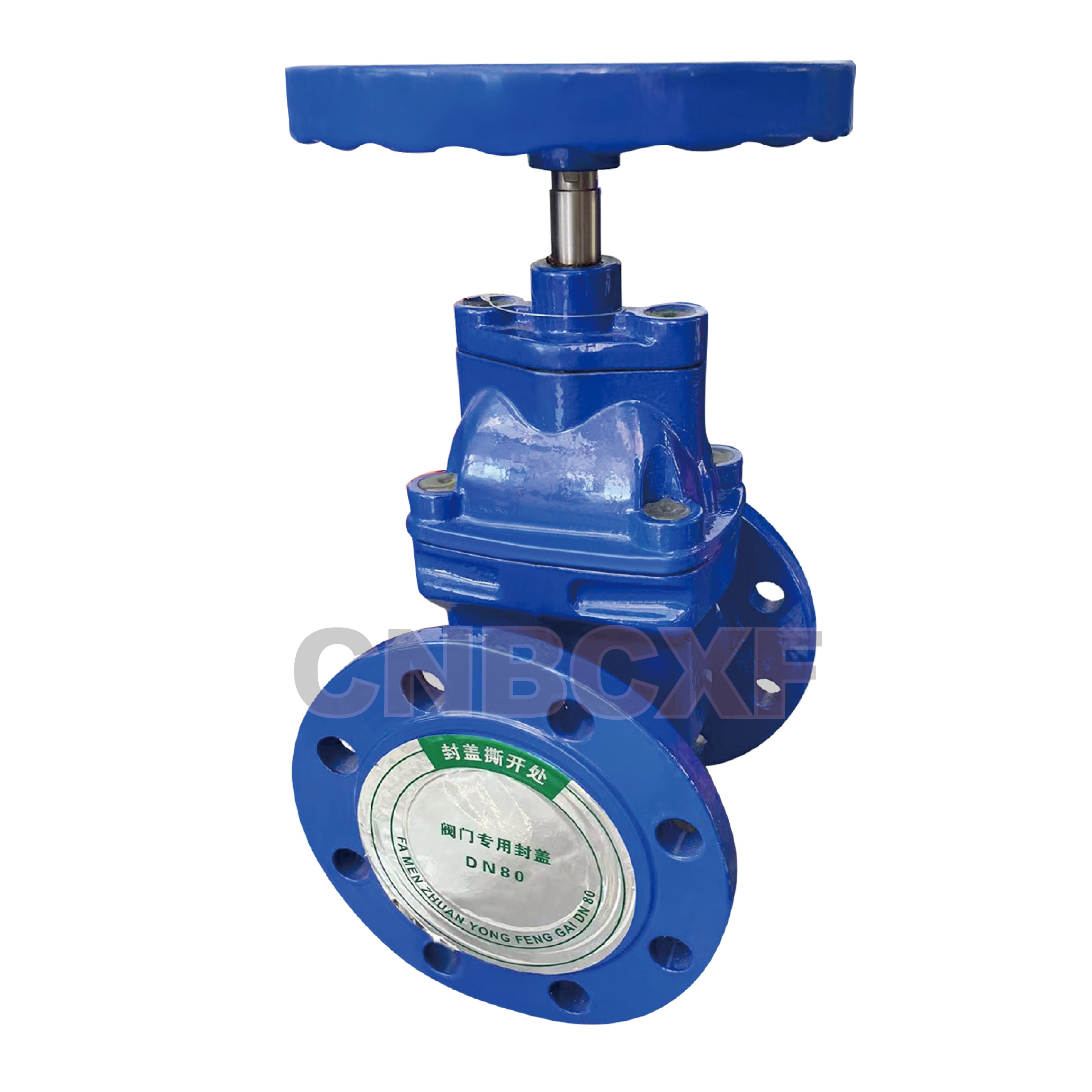 NRS Water Gate Valve