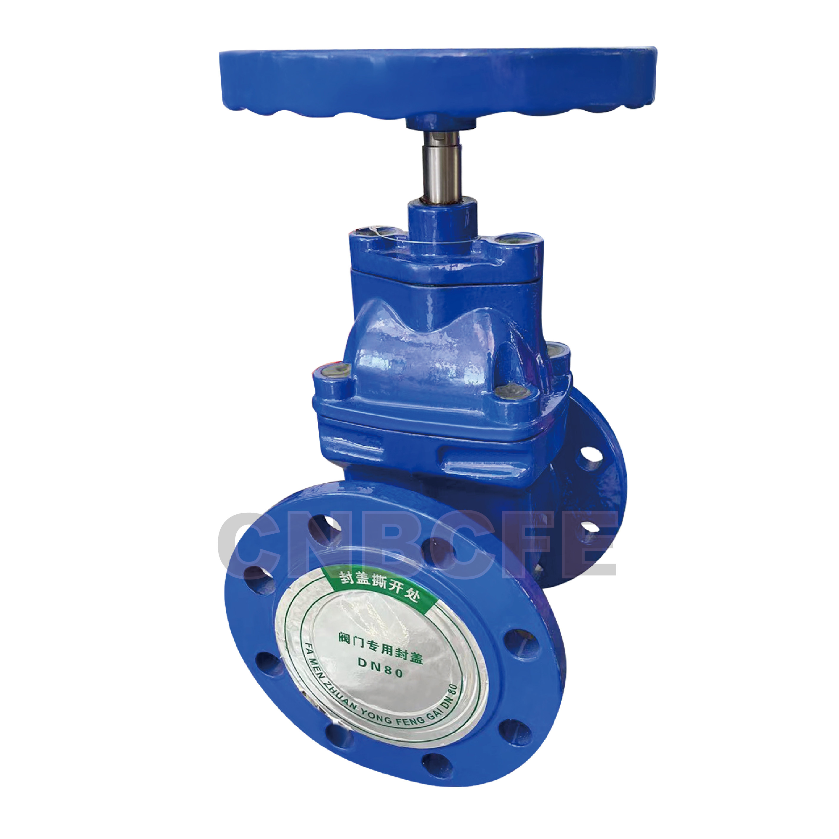 NRS Flange Type Gate Valves