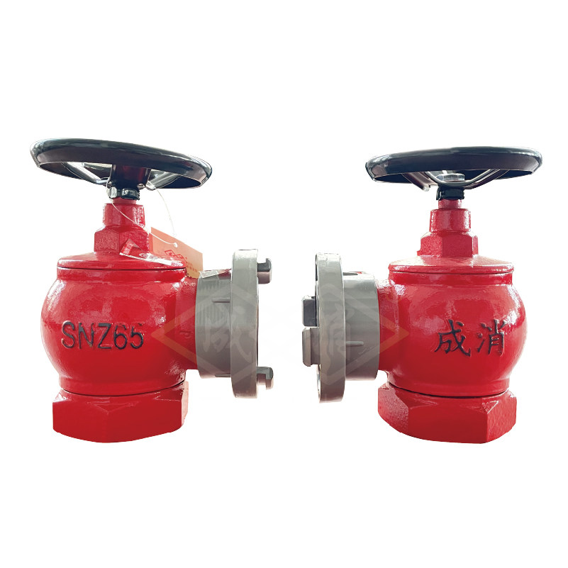 Fire Hydrant Angle Valve