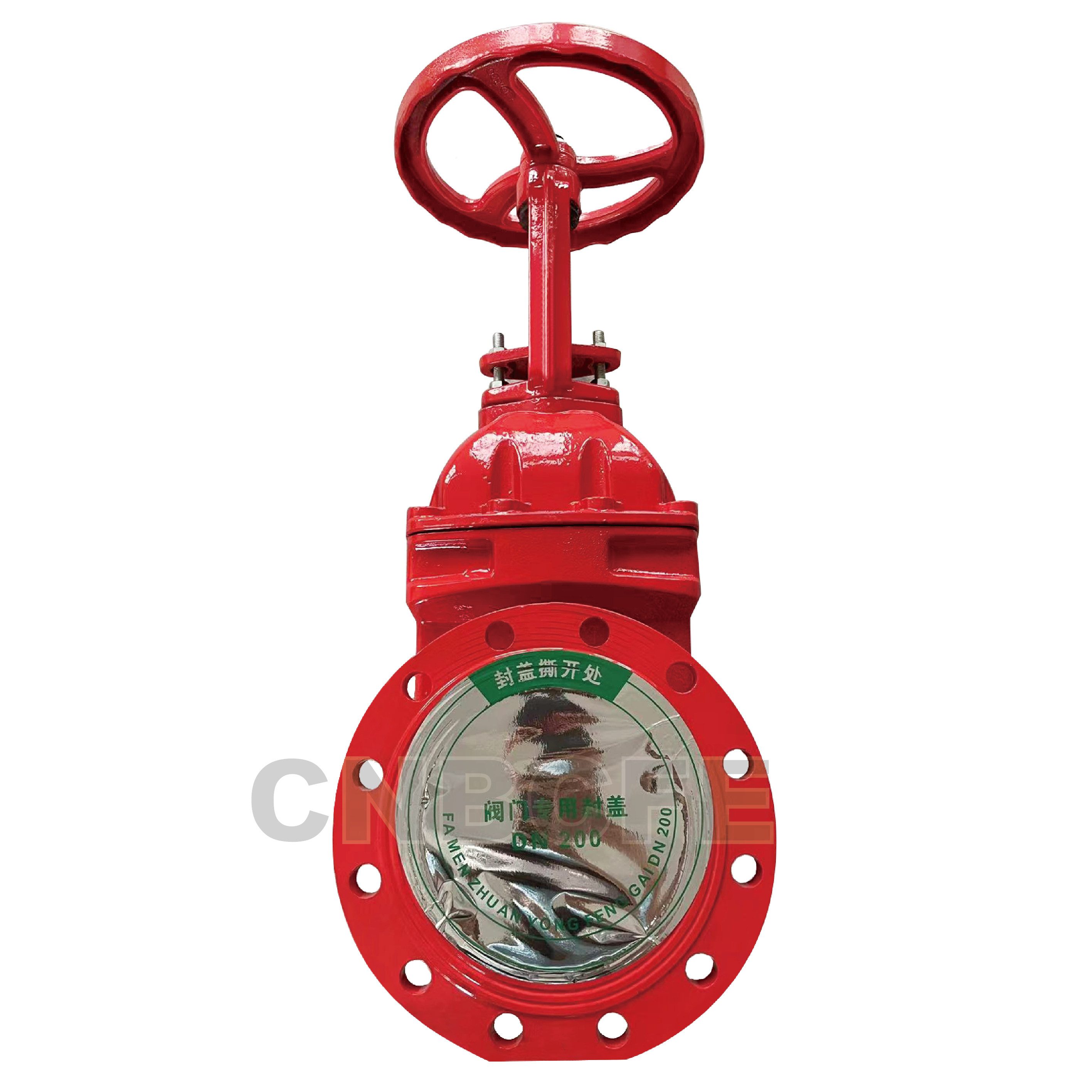 OSY Gate Valve