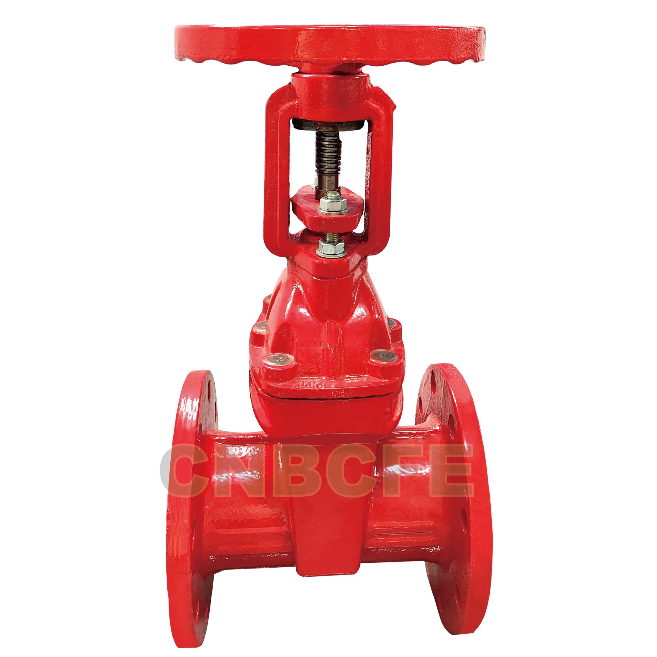 Rising Stem Gate Valve