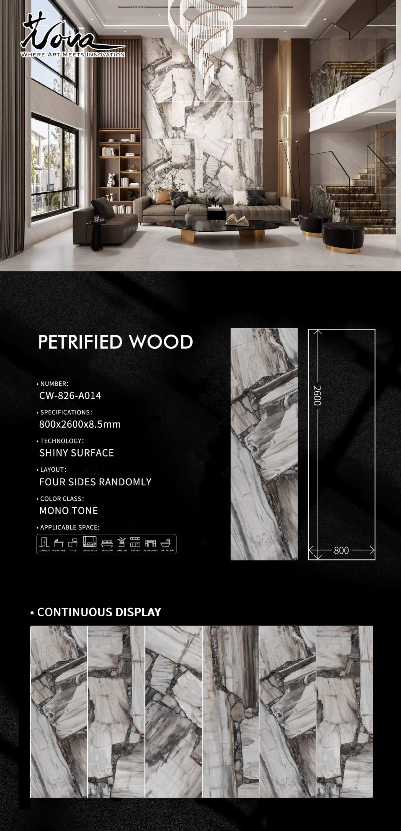 CW-826-A014木化石PETRIFIED WOOD