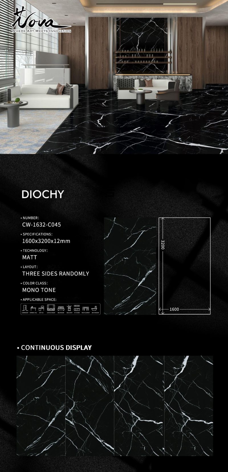 CW-1632-C045迪奥黑DIOCHY