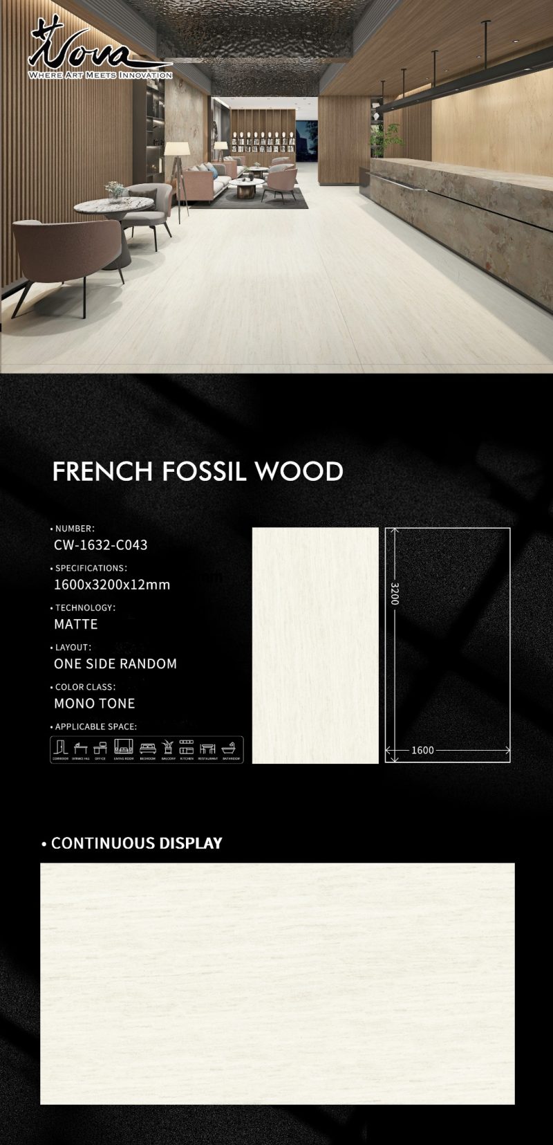 CW-1632-C043法国木化石FRENCH FOSSIL WOOD