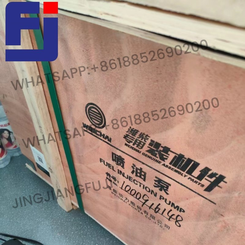 weichai fuel injection pump 1000916148