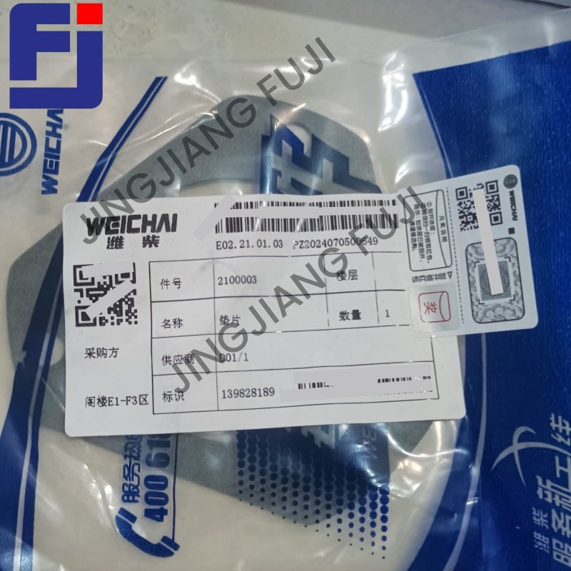 2100003 Gasket